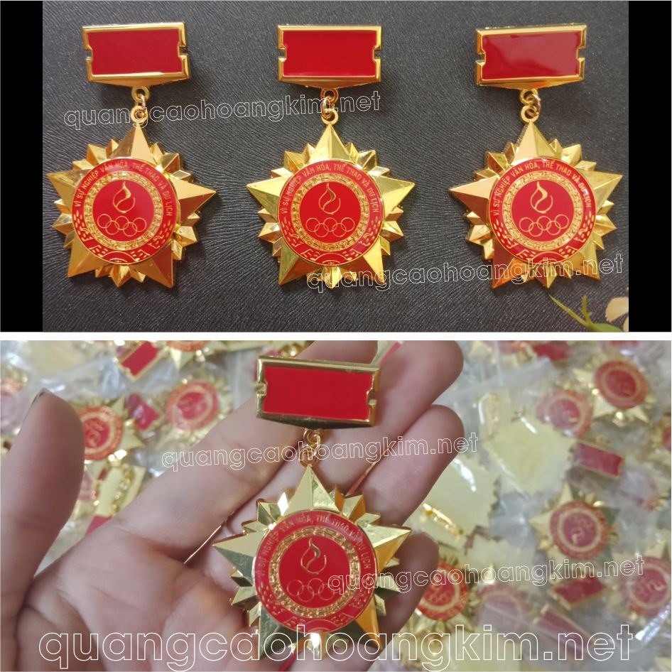 huan chuong cai ao vinh danh ky niem 14 - HUÂN CHƯƠNG CÀI ÁO VINH DANH - KỶ NIỆM ĐẲNG CẤP
