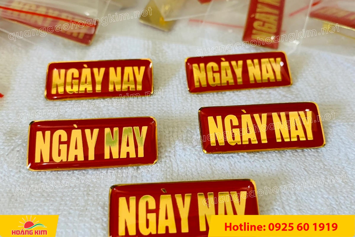 huy hieu cai ao ma vang 24k do mau logo 116 - HUY HIỆU C&Agrave;I &Aacute;O MẠ V&Agrave;NG 24K ĐỔ M&Agrave;U LOGO SANG TRỌNG