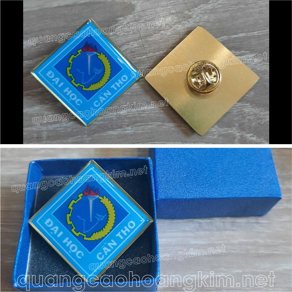 huy hieu truong hoc 10 - HUY HIỆU TRƯỜNG HỌC CỰC BỀN ĐẸP, NHIỀU MẪU MÃ