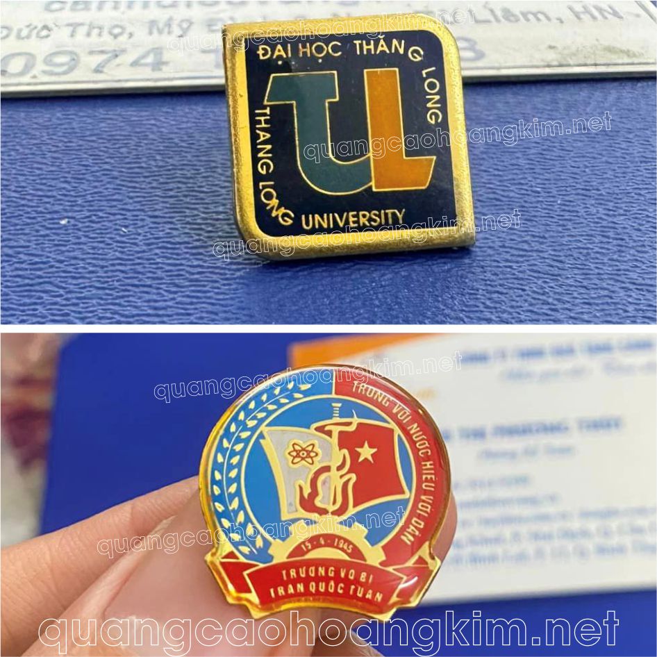 huy hieu truong hoc 3 - HUY HIỆU TRƯỜNG HỌC CỰC BỀN ĐẸP, NHIỀU MẪU MÃ